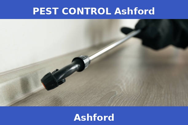 PEST CONTROL Ashford